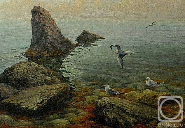 ������� ������ �� ������. ������ ������. ���� ��� �����