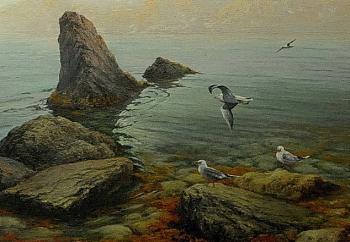 Morning over the sea