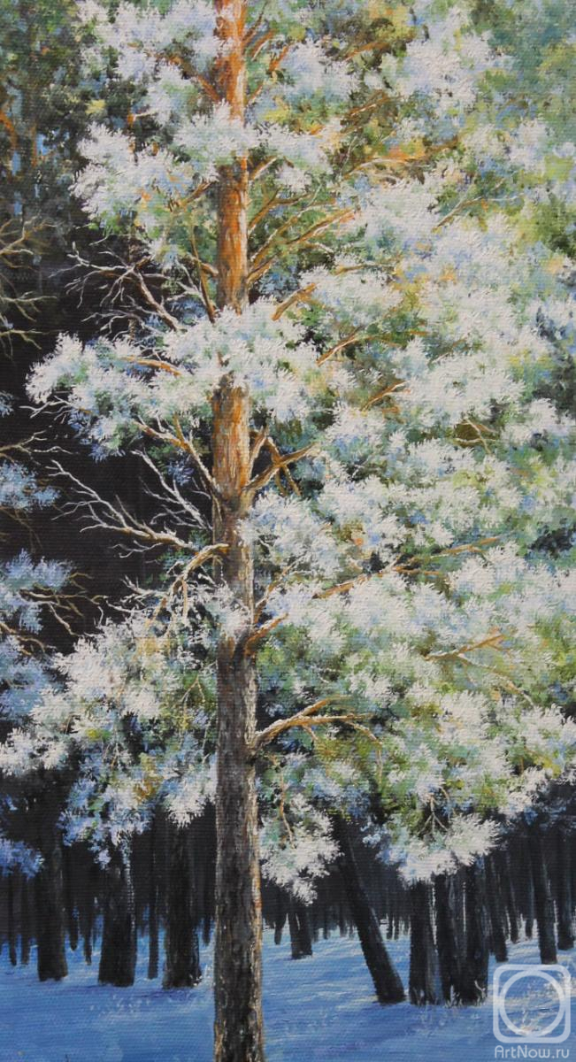 ������� ������ �� ������. ��������� ��������. ����� � ����