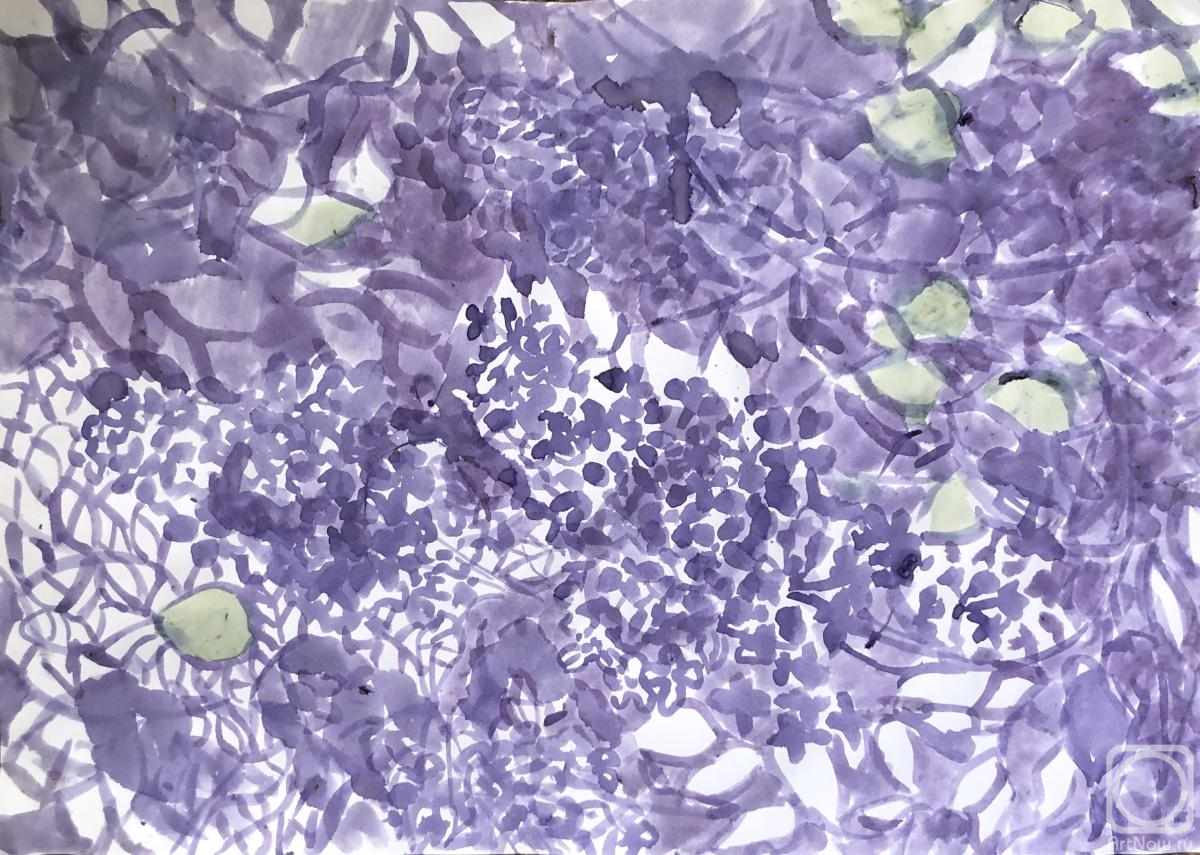 �������. ����� ������. ����� ����� ������ � ���� ����