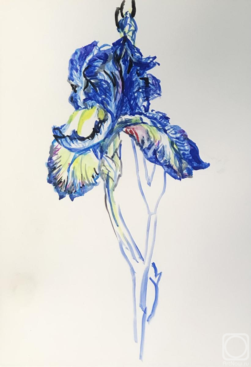 �������. ����� ������. ����������� ����