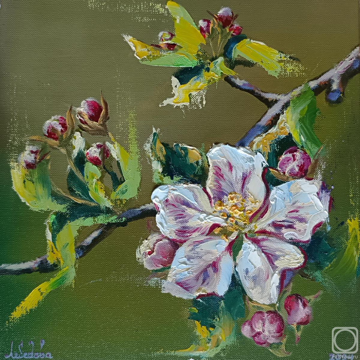 �������. �������� ����. ������ ����