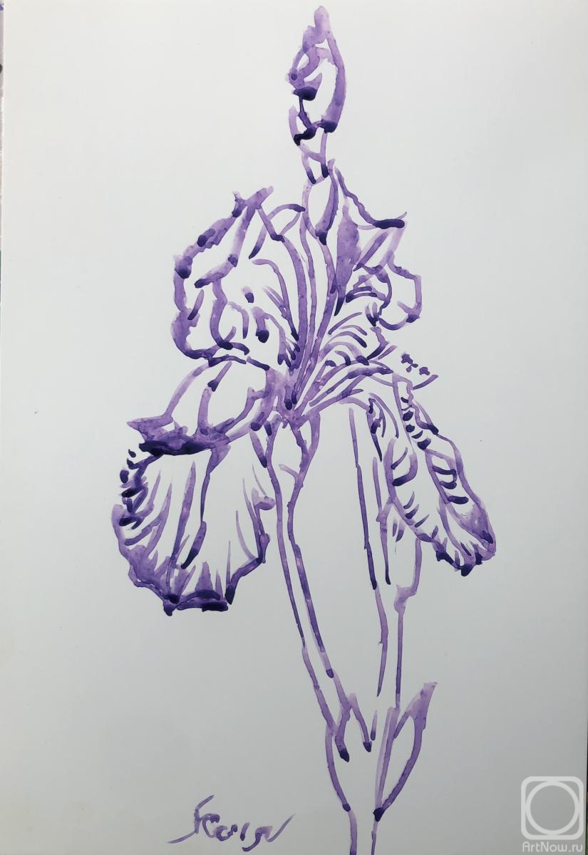 �������. ����� ������. ������� ����