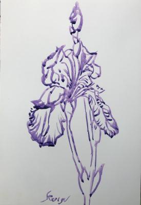 ������� �������� ����