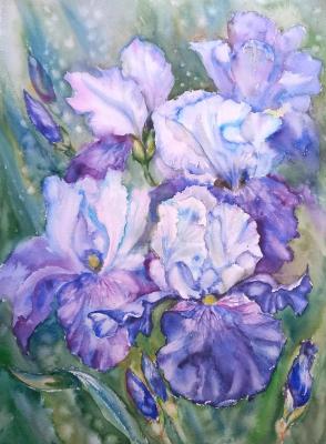 Irises (Beautiful Watercolor). Kondyurina Natalia
