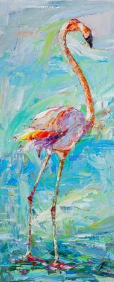 Flamingo. Walk along the shore. Rodries Jose