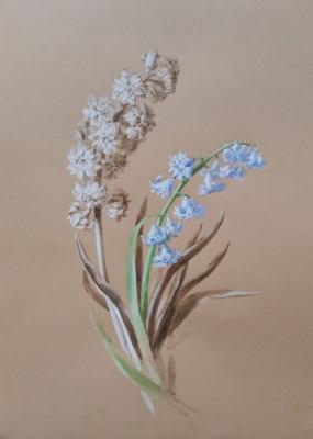 Hyacinths. Budnik Ekaterina