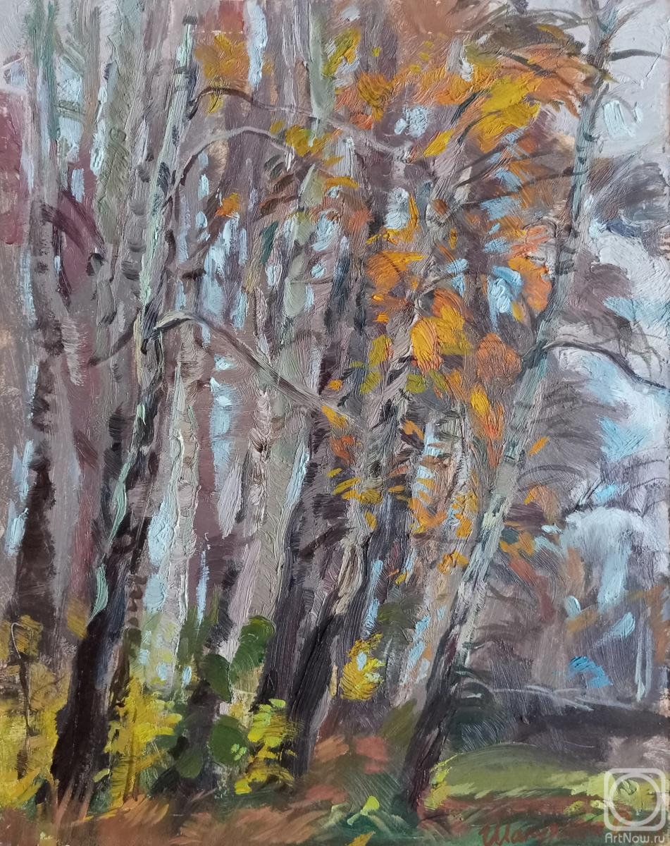 �������. �������� ������. ������� ����