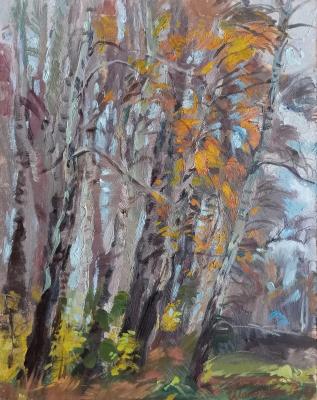 ������� ����. �������� ������