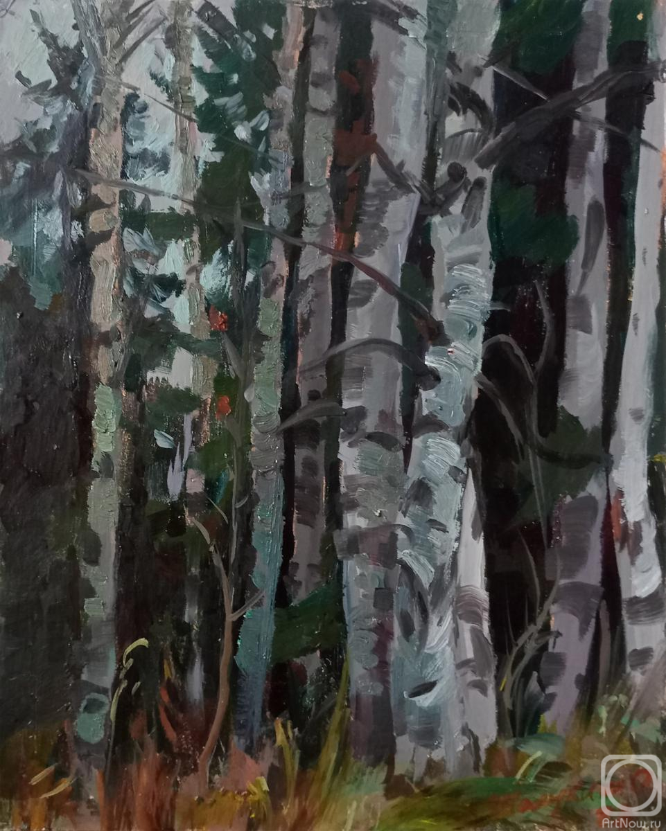 �������. �������� ������. �������� ����