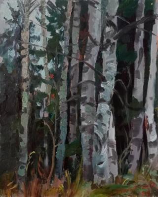 ������� ��������� ����