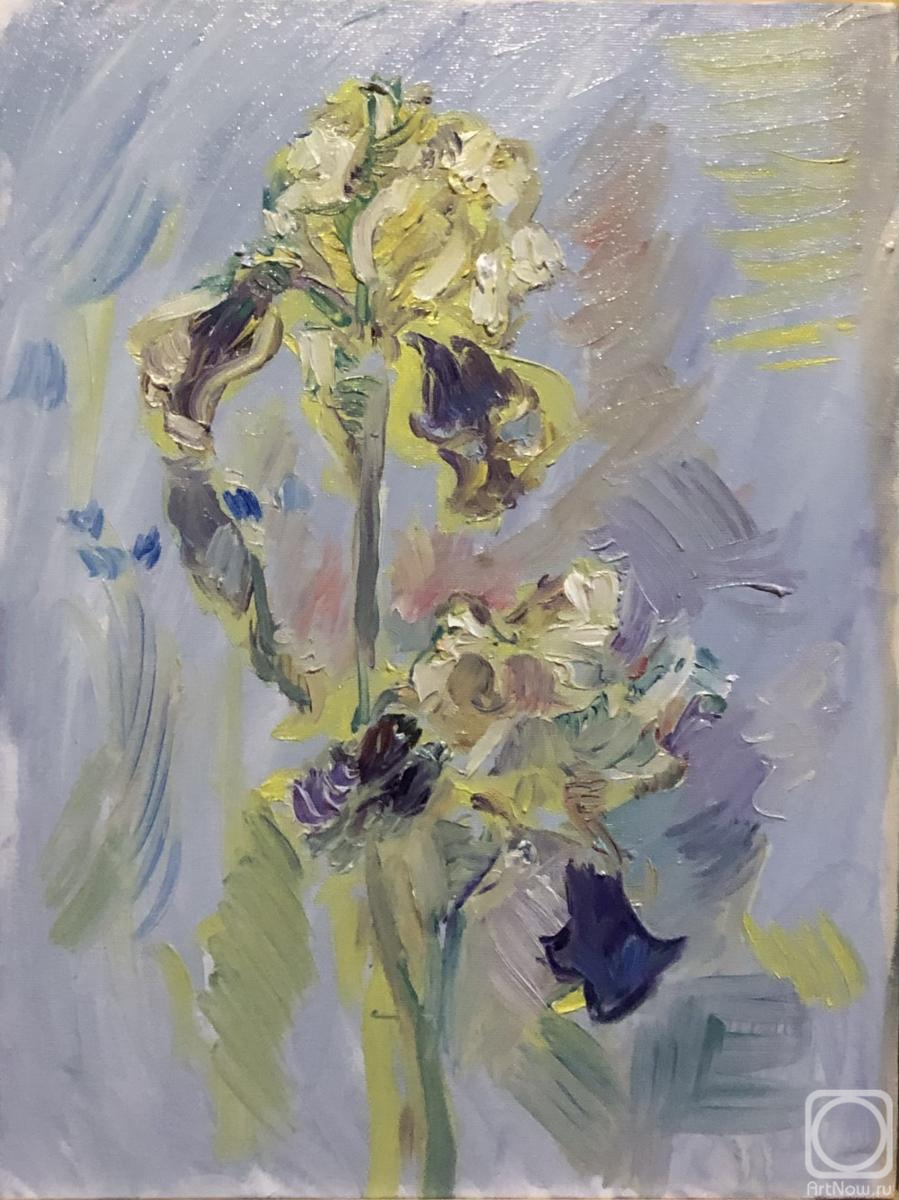 ������� ������ �� ������. ����� ������. ���� ������������, �������� � ������