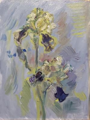 ���� ������������, �������� � ������. ����� ������