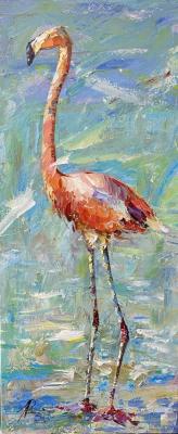 Flamingo. Walk along the shore N2 (Oil Birds). Rodries Jose