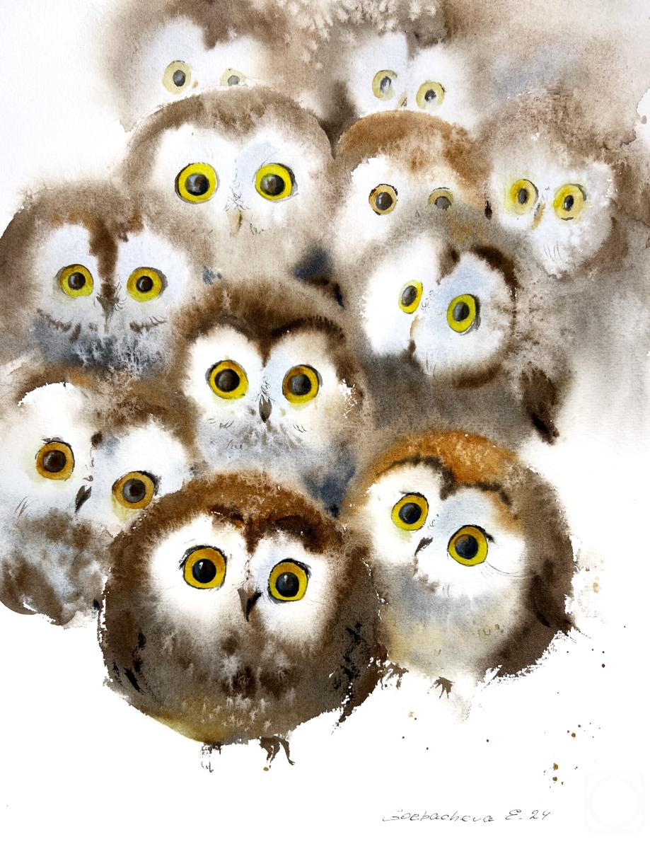 �������. ��������� �������. ������� �������