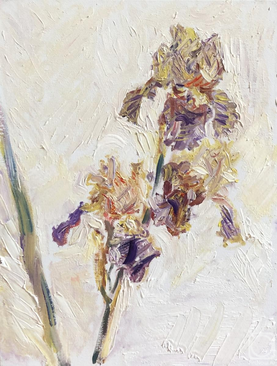 ������� ������ �� ������. ����� ������. �������� ���������� ����, ��� ������ ���������