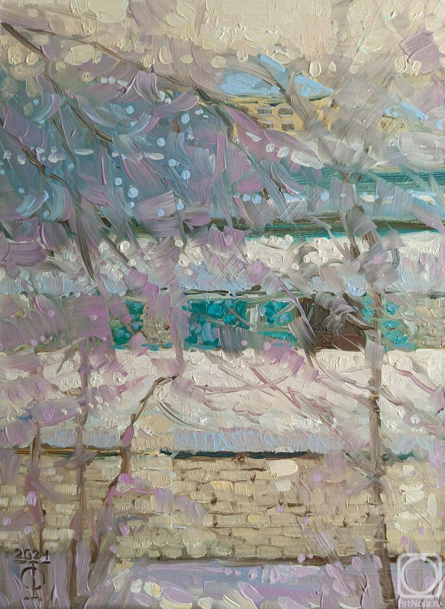 Fyodorova-Popova Tatyana. View from the window