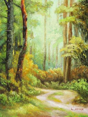 A summer day in the forest