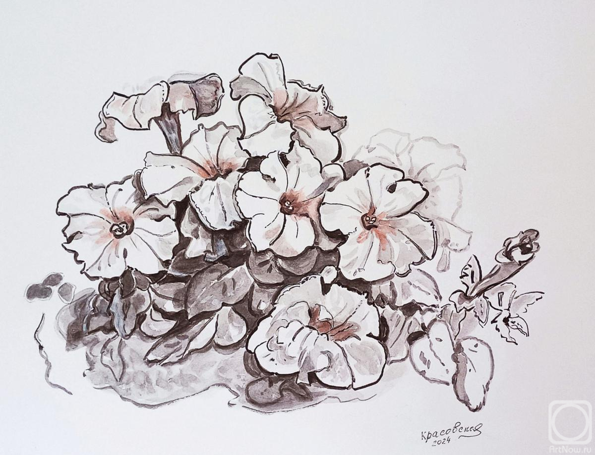 �������. ���������� �������. �������