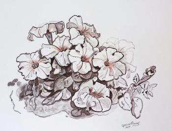 �������. ���������� �������