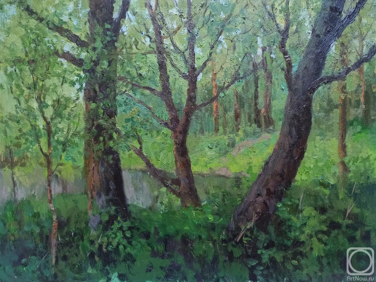 ������� ������ �� ������. �������� �����. � ����� � �������� ����