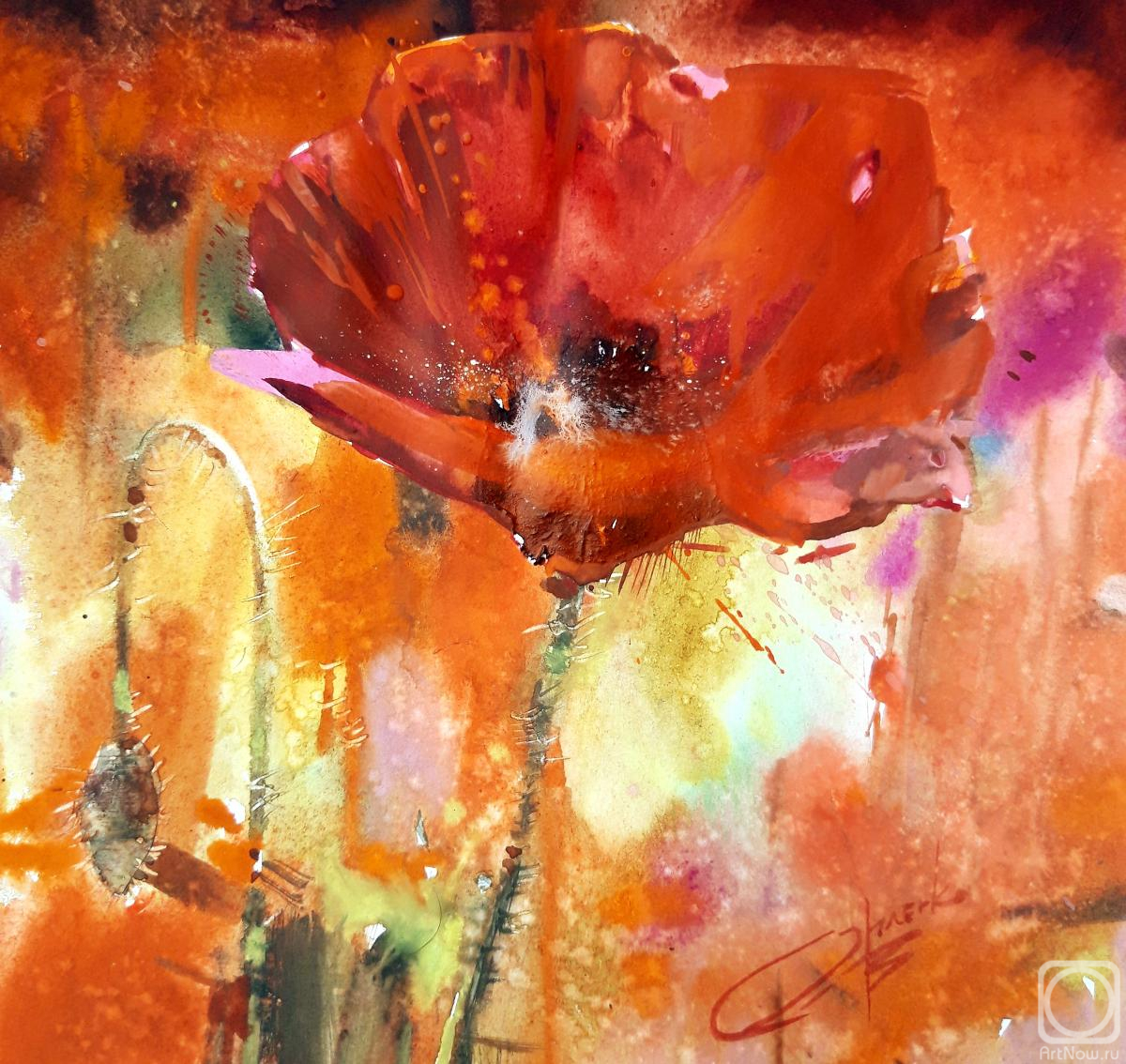 �������. ������� ��������. �����. �� �����: "�����"