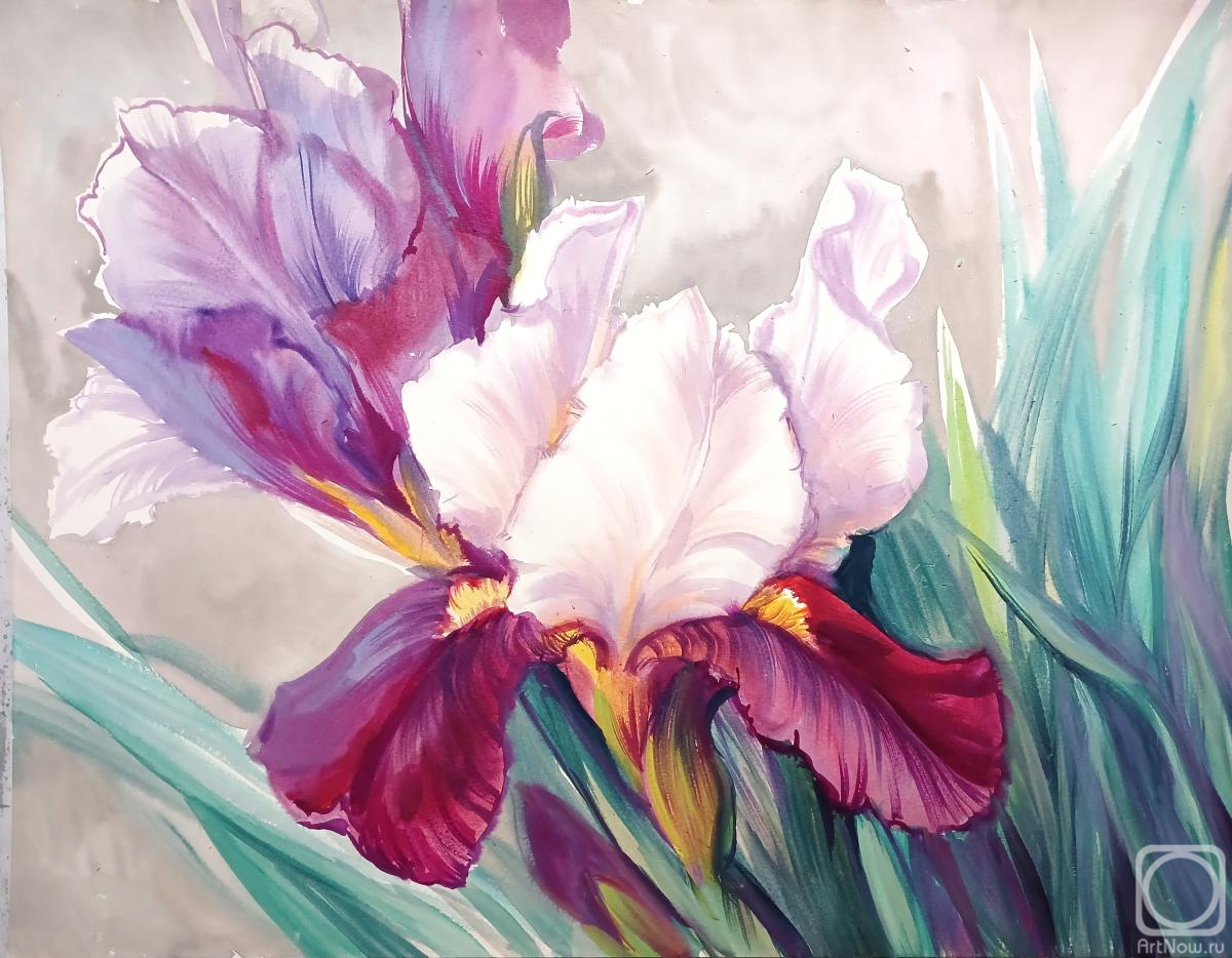 Mikhalskaya Katya. The joy of irises