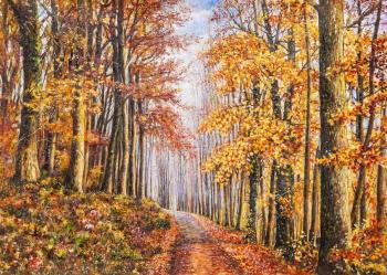 Golden autumn walks along colorful paths. Kamskij Savelij