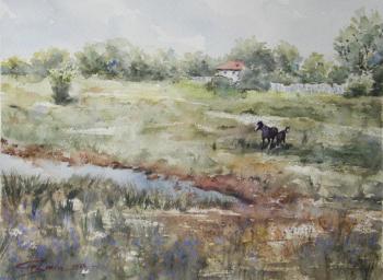 Rural landscape (Painting Moscow Buy). Gayvoronskaya Elena