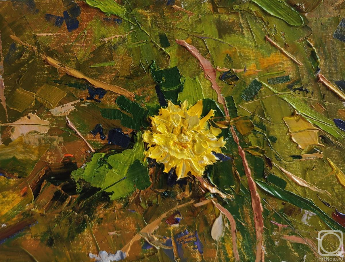 ������� ������ �� ������. ���������� �������. �����