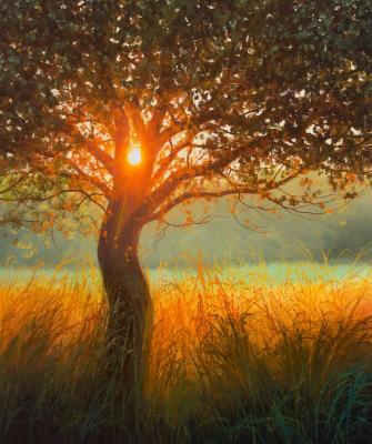 ������� �����