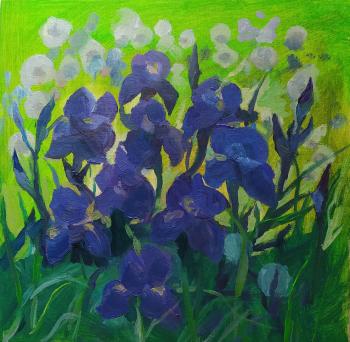 Irises in the meadow. Ripa Elena