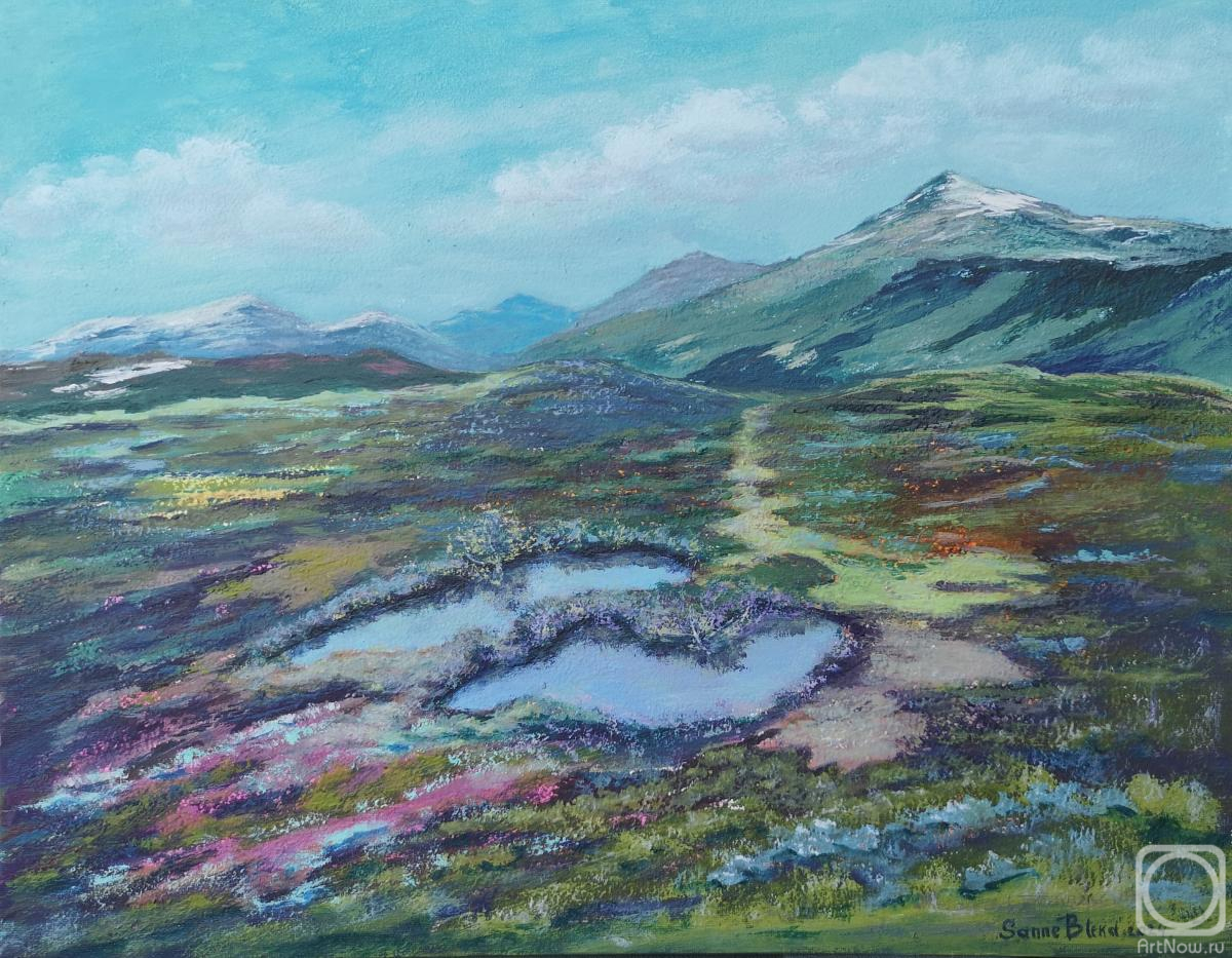 �������. ����� ������. ���� � �����