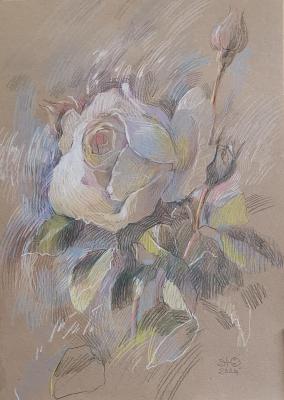 White Rose. Zhukovskaya Yuliya