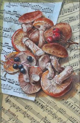Notes and mushrooms. Kiselevich Gennadiy