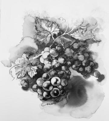 Country grapes. Stoylik liudmila