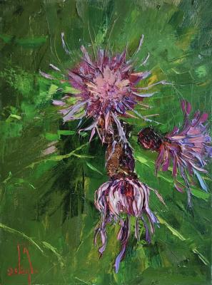 ��������. ���������� �������