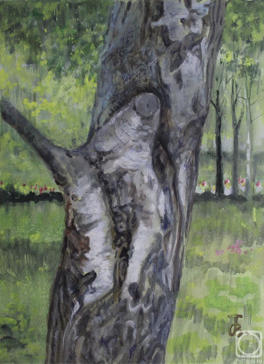 �������. ������� �����. ������� ������