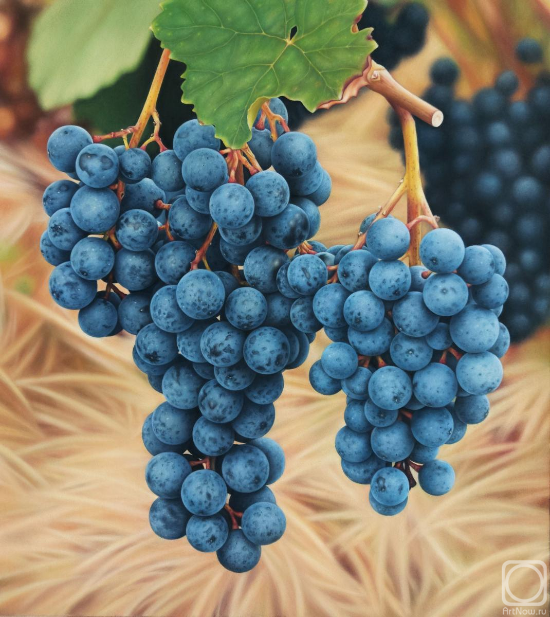 Goncharova Tatyana. Untitled