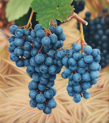 ������� ������� ���������