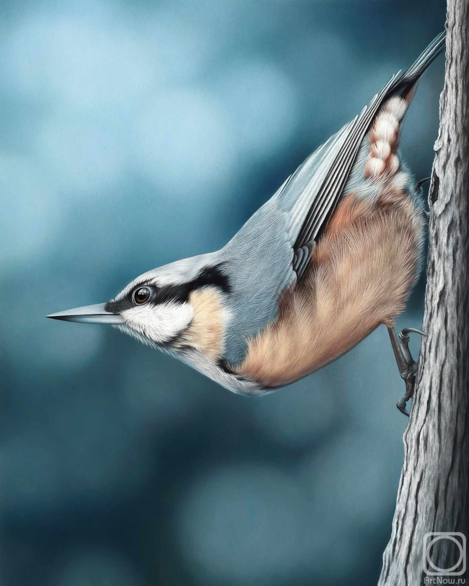 �������. ��������� �������. � �������� �����