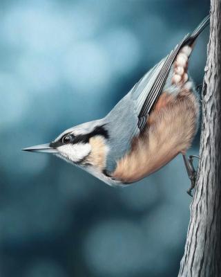 Untitled. Goncharova Tatyana