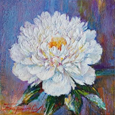 White peony. Biryukova Lyudmila