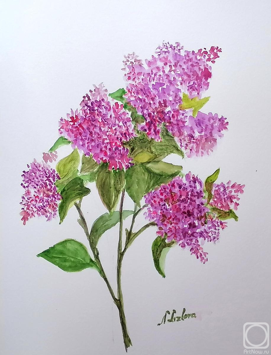 �������. ������� �������. ������� ������