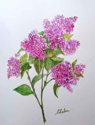 ������� �������� ������