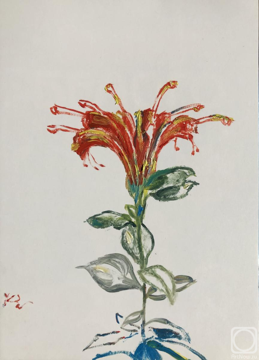 �������. ����� ������. �������� �������� ����������