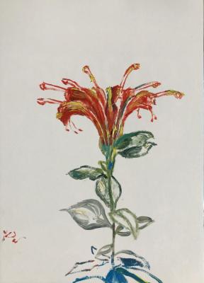 ������� ��������� �������� ����������