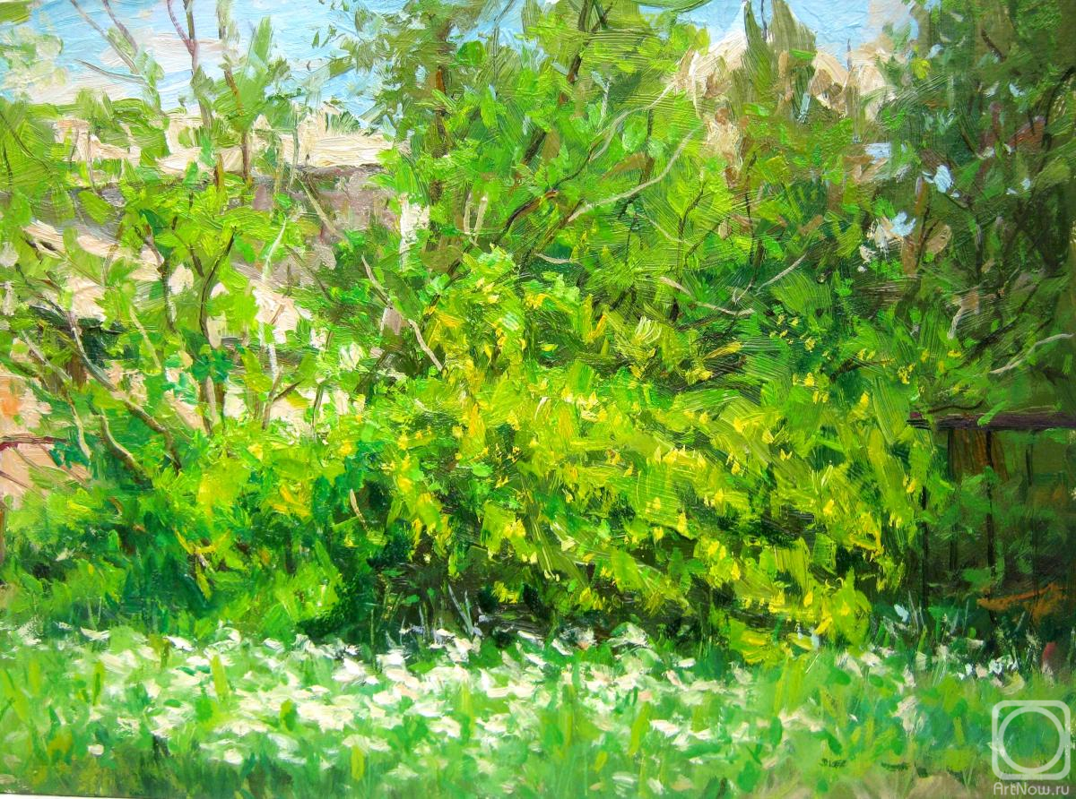 ������� ������ �� ������. ������� ��������. �������� ���� (����)