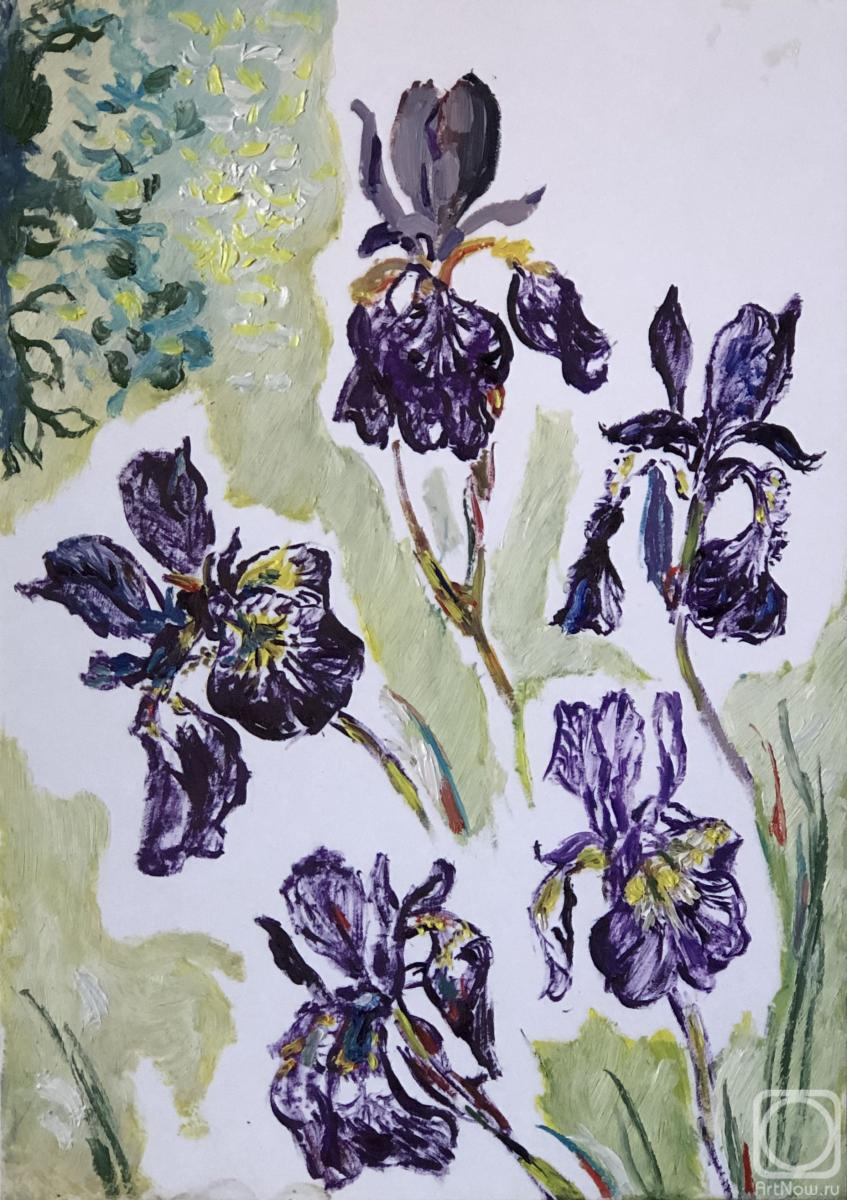 �������. ����� ������. ��������� �����, ����������� ����������� �����