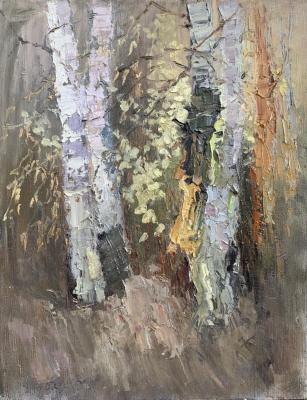 ������� ������ �������